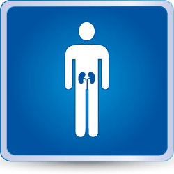 Urología